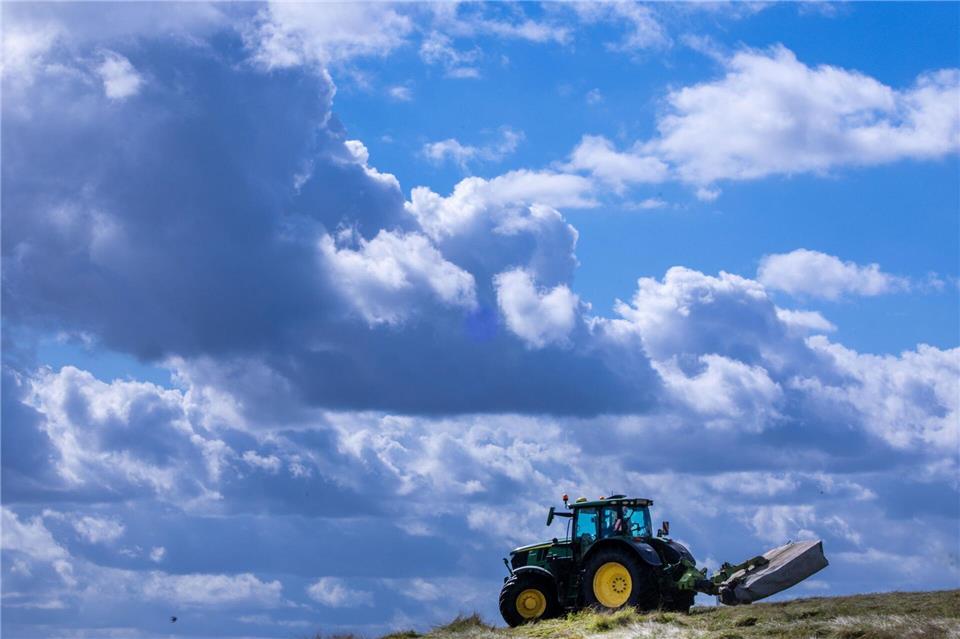 Es lohnt sich oft nicht: Die Produktionskosten für Agrarprodukte liegen teils über den Verkaufspreisen. (Archivbild)Jens Büttner/dpa