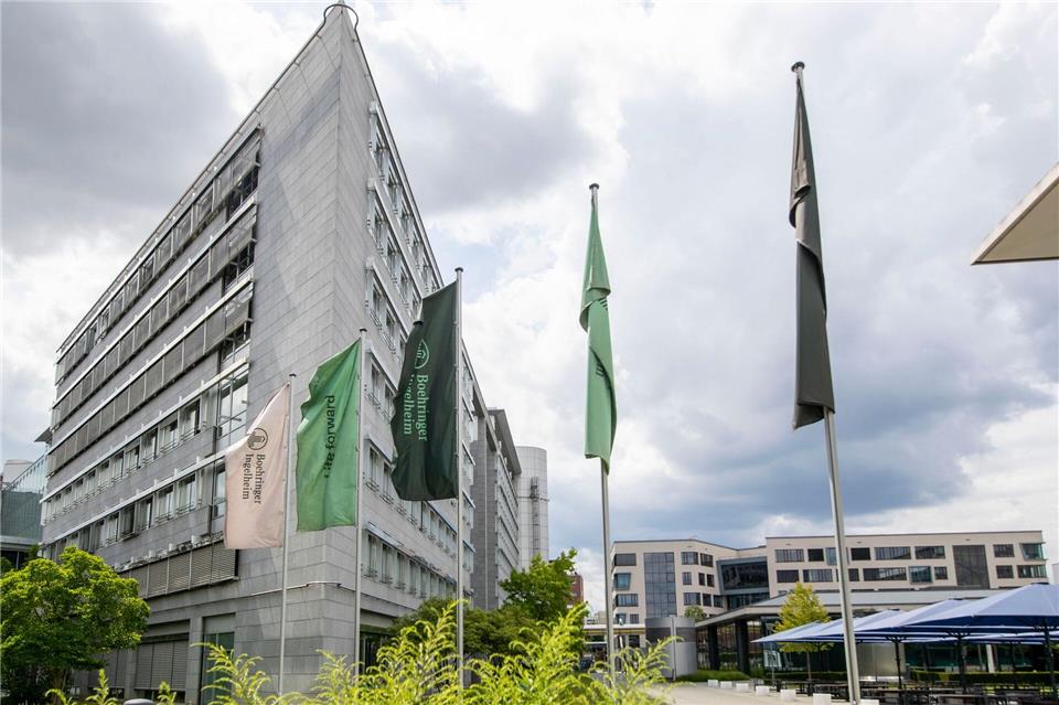 Boehringer-Deutschlandchef: Alarmglocken wurden gehört Es sei nicht selbstverständlich, dass immer Investitionen in die deutschen Standorte wie den Stammsitz im rheinhessischen Ingelheim fließen, sagt der neue Deutschlandchef. Helmut Fricke/dpa