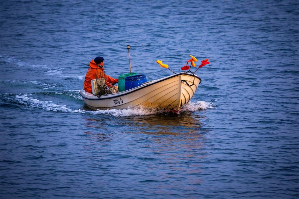 Es steht nicht gut um die Fischerei an der deutschen Ostseeküste. (Archivbild)Jens Büttner/dpa