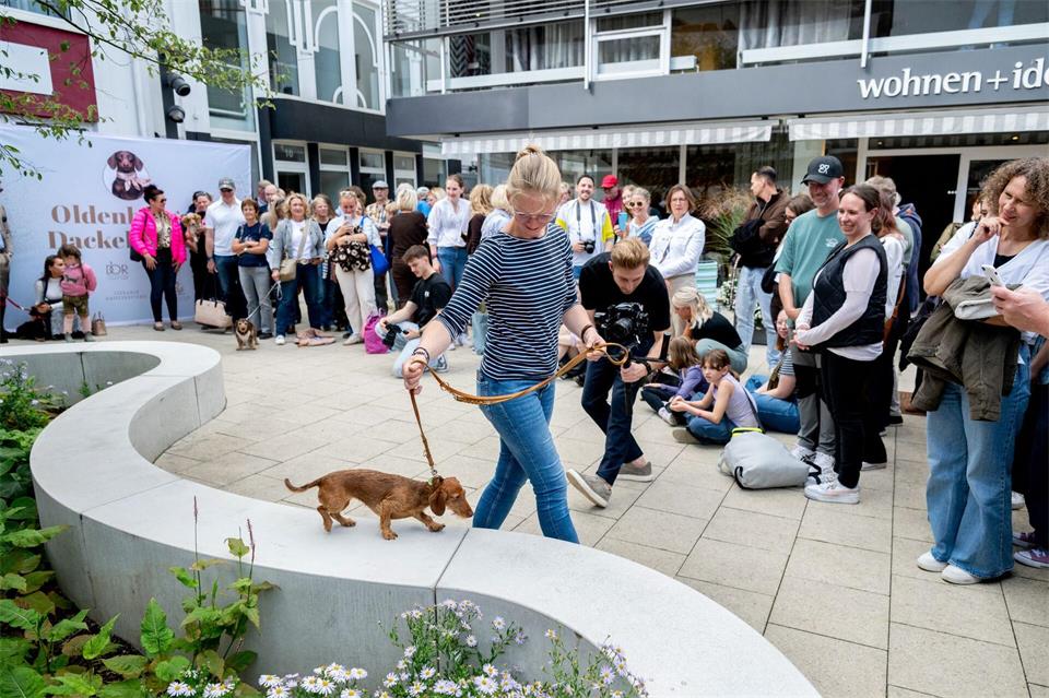 Es war das erste Dackeltreffen in Oldenburg überhaupt. Hauke-Christian Dittrich/dpa