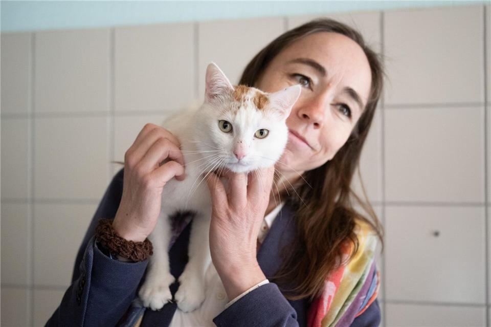 Es werden vor allem Katzen vermittelt. Sebastian Kahnert/dpa