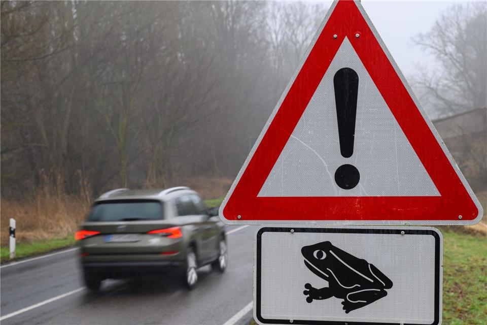 Es wird wärmer - die Kröten sind wieder unterwegs. (Archivbild)Patrick Pleul/dpa