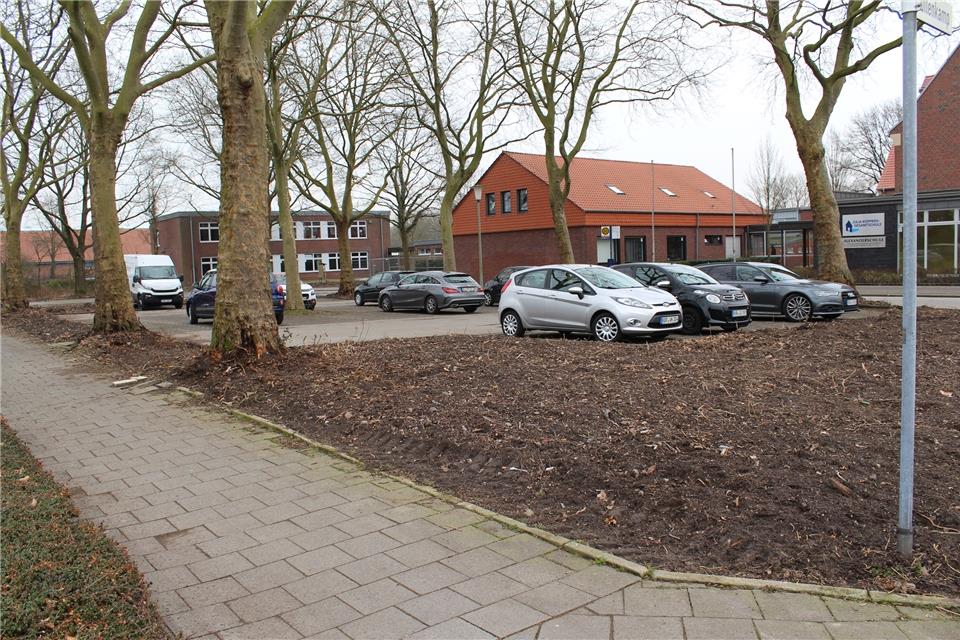 Etliche Sträucher sind am Parkplatz entfernt worden.