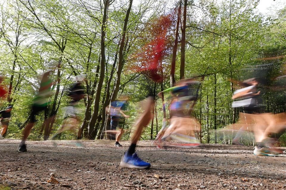 Etwa 4.000 Teilnehmer hatten sich für den Lauf angemeldet. Matthias Bein/dpa