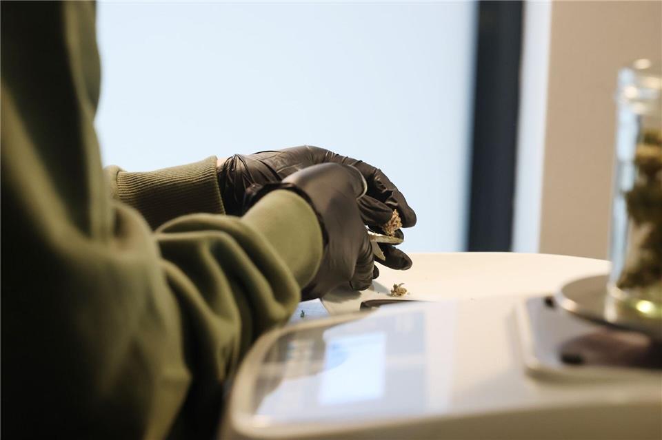 Kiffer freuen sich: Erfurter Club gibt erste Ernte ab Etwa zwei Kilogramm Cannabis seien an die Mitglieder des Cannabis Social Club Erfurt e.V. ausgegeben worden, hieß es seitens des Vereins.Bodo Schackow/dpa