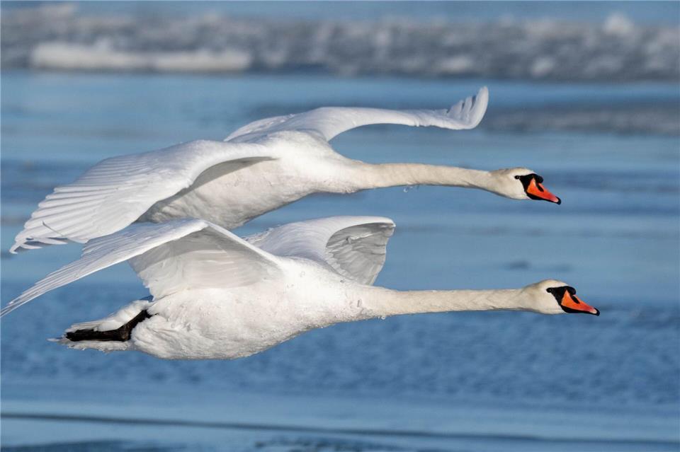 Etwas milder soll es Richtung Wochenende in MV werden.Stefan Sauer/dpa