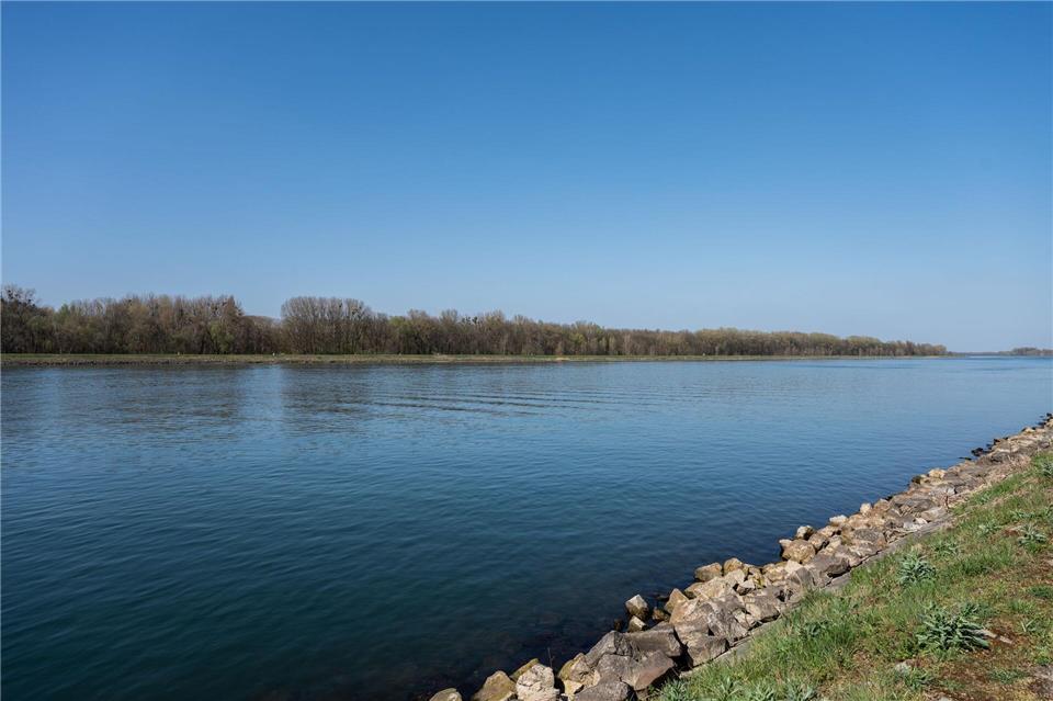 Ewigkeitschemikalie Trifluoracetat (TFA) verbreitet sich laut Wasserwerken weiter im Rhein. Silas Stein/dpa