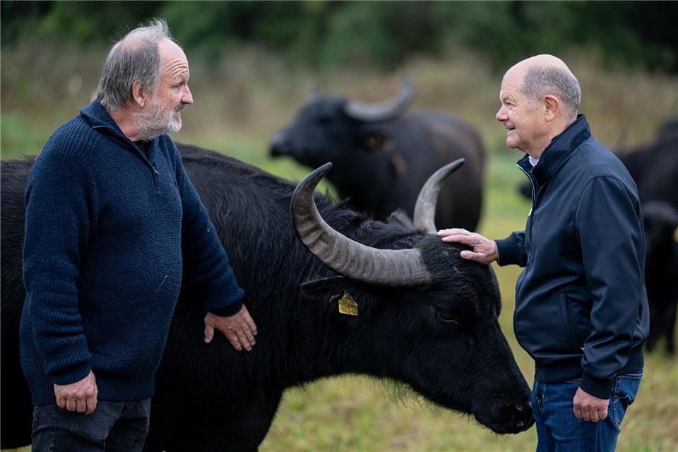 Ex-Kanzler Olaf Scholz streichelt einen Wasserbüffel, neben ihm der Landwirt Roland von Schmeling.Fabian Sommer/dpa