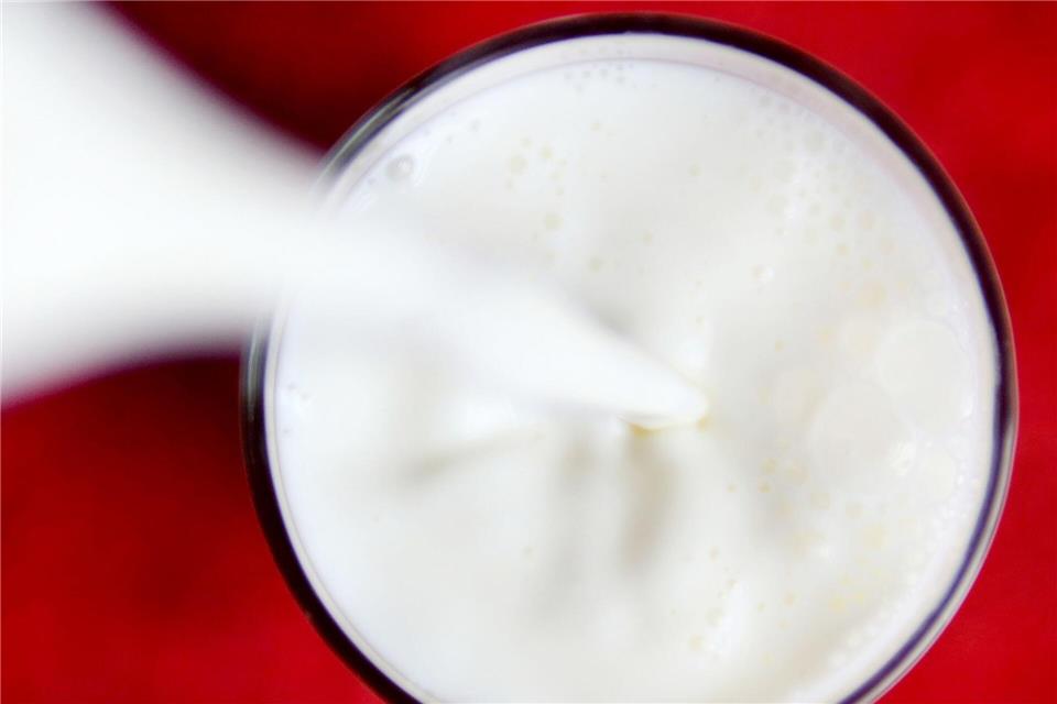 Experten: „Pflanzendrinks sind kein gleichwertiger Ersatz für Kuhmilch“Roland Weihrauch/dpa/dpa-tmn