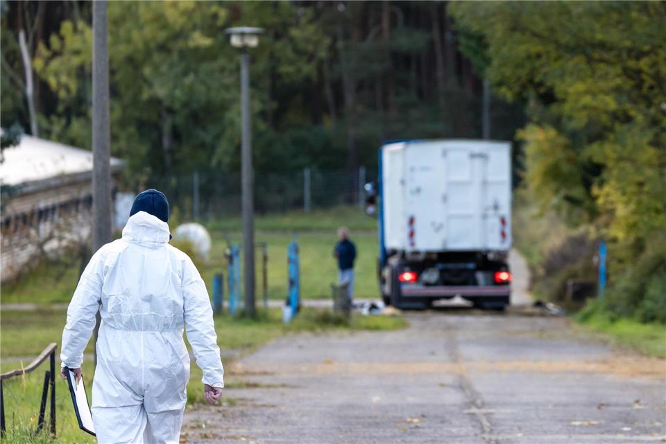 Landkreis: 130.000 Tiere müssen getötet werden  Experten in Schutzanzügen sind in Neuhardenberg im Einsatz, weil dort 80.000 Enten in einem Betrieb wegen der Vogelgrippe getötet werden müssen. Frank Hammerschmidt/dpa