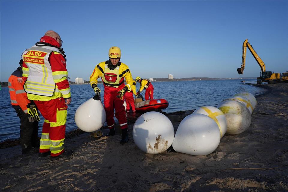 Experten und Helfer waren tagelang im Einsatz, um das gestrandete Tier zu retten.Marcus Brandt/dpa