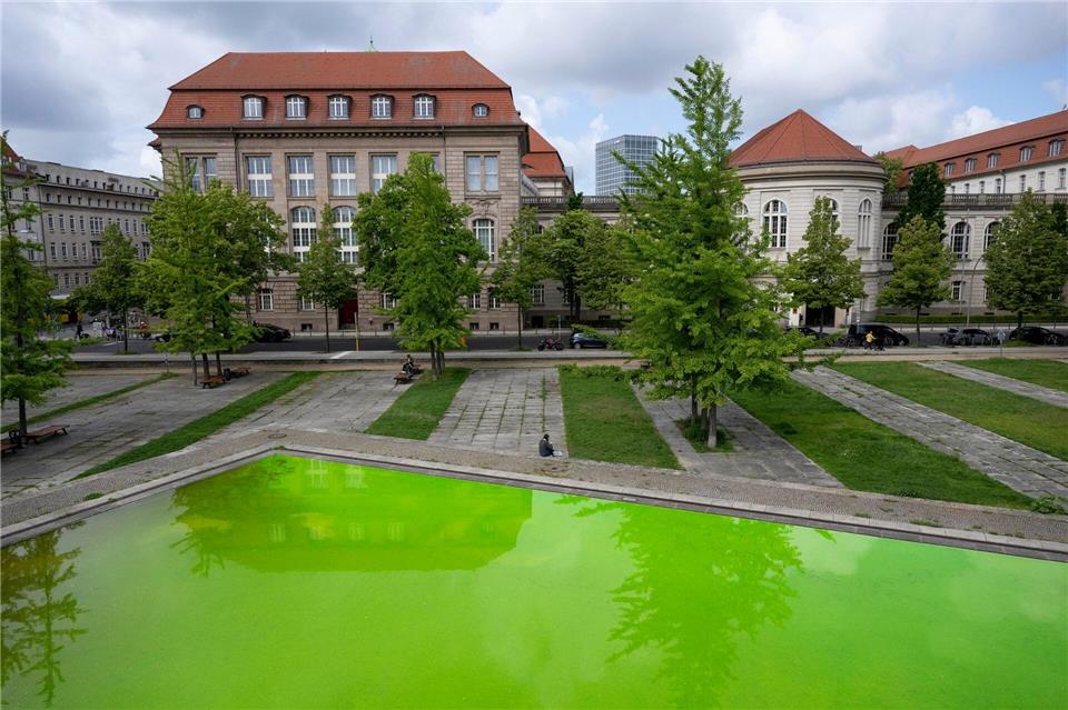 „Extinction Rebellion“ wirft Bundeswirtschaftsministerin Katherina Reiche (CDU) eine zu konzernfreundliche Gaspolitik vor. Christophe Gateau/dpa