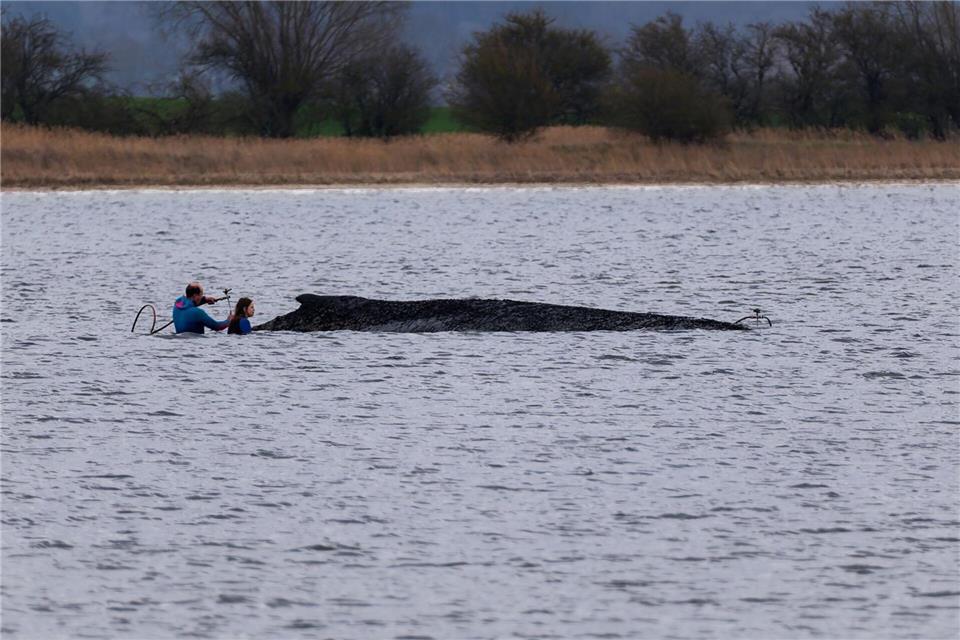 Fachleute hatten die Hilfsaktion laut Umweltministerium empfohlen.Marcus Golejewski/dpa