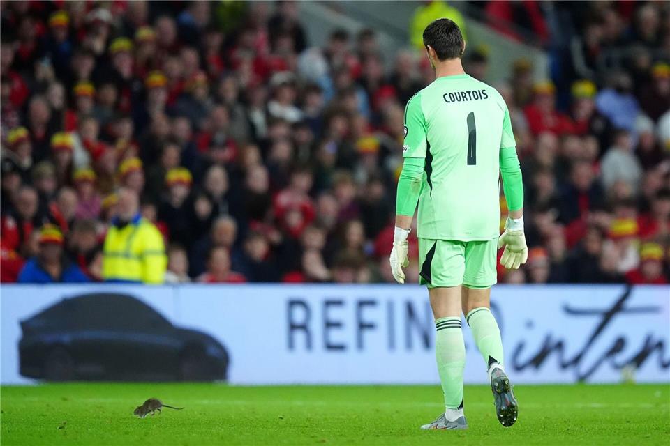 Fängt lieber Bälle: Belgiens Torwart Thibaut Courtois.David Davies/PA/AP/dpa
