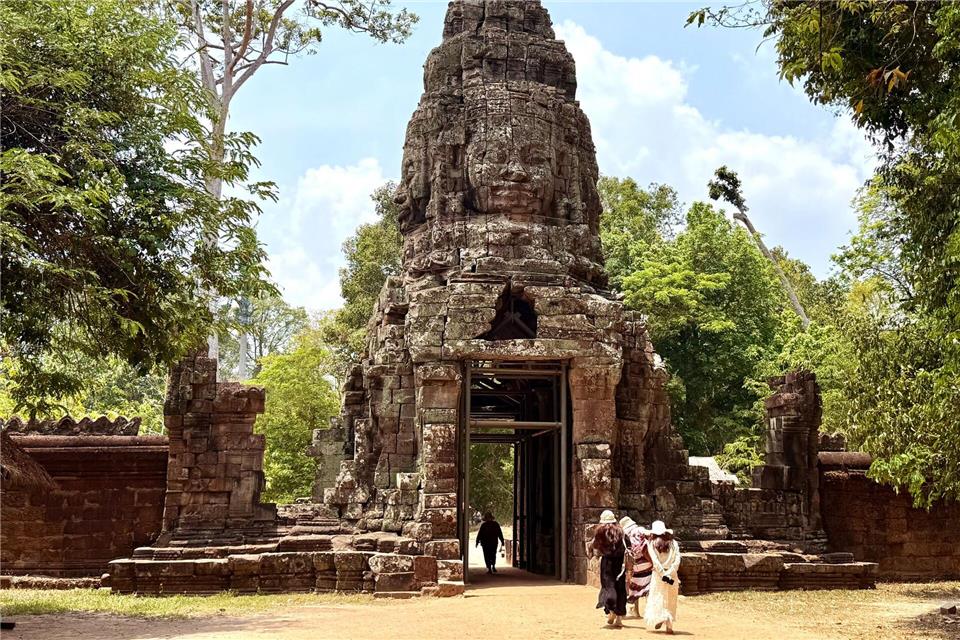 Fans von Tomb Raider kennen ihn: Doch derzeit funktioniert auch Ta Prohm nicht so recht als Touristenmagnet. Carola Frentzen/dpa-tmn