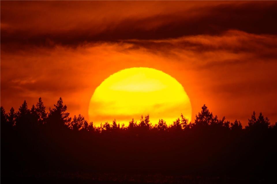 Bilder des Tages Farbenprächtig leuchtet der Sonnenuntergang hinter einem Waldgebiet im östlichen Brandenburg.Patrick Pleul/dpa