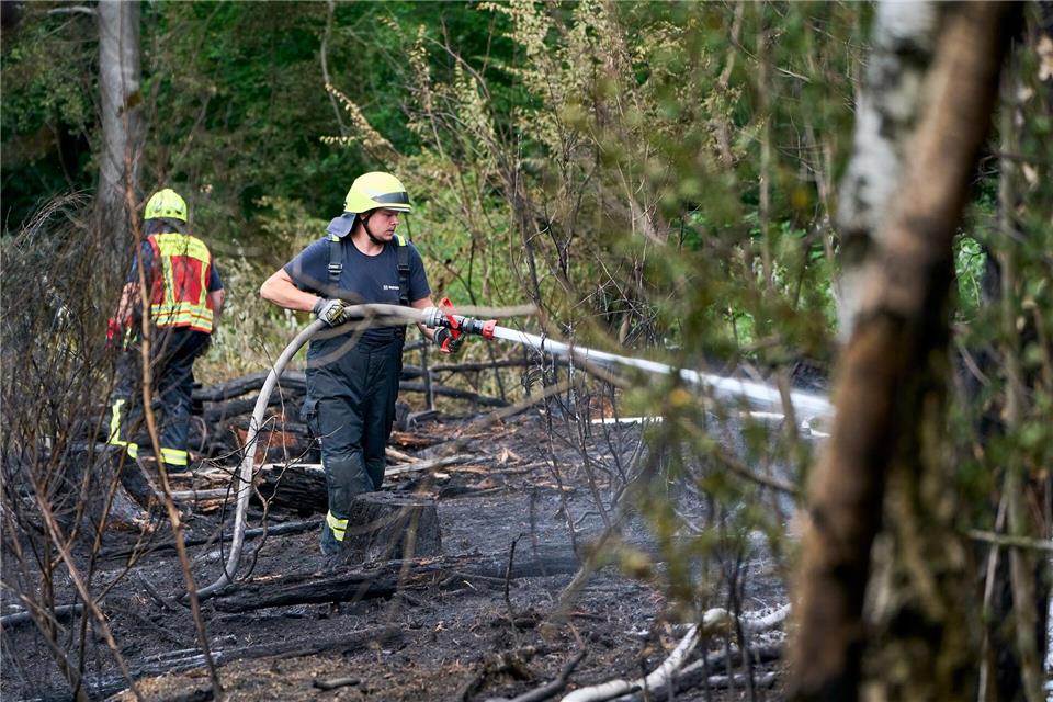 Fast immer verursacht der Mensch einen Waldbrand. (Archivbild)Sascha Ditscher/dpa