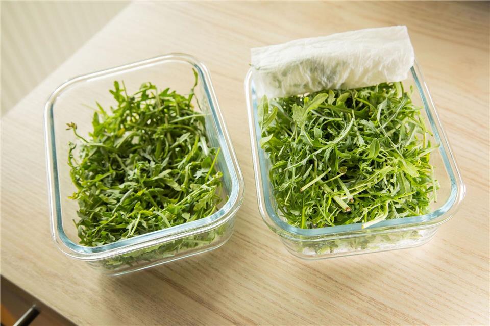 Fazit nach neun Tagen: Der Rucola mit Küchenpapier ist noch schön knackig, der andere trocken und labberig.Christin Klose/dpa-tmn