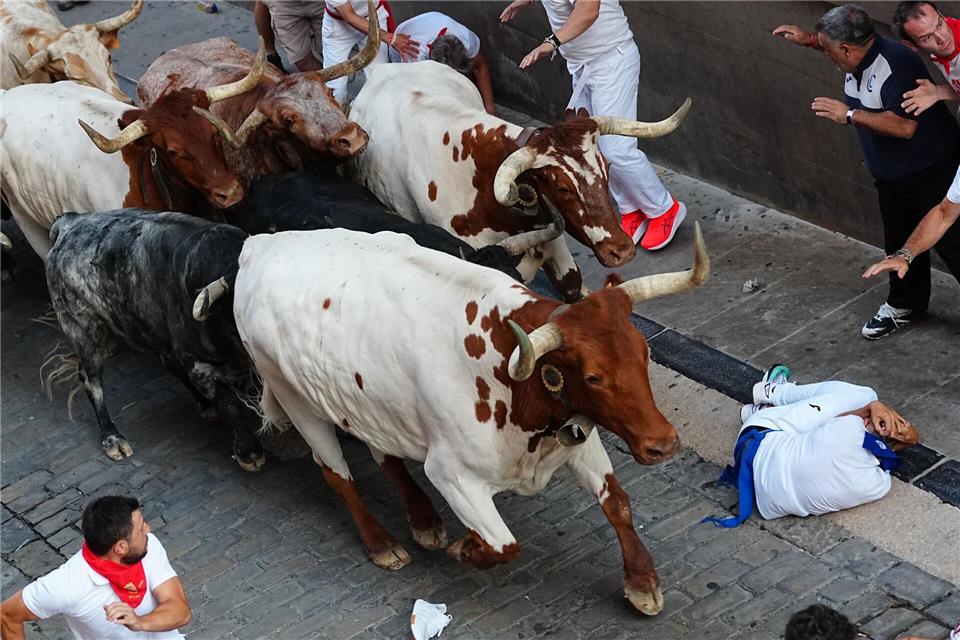 Feiernde laufen beim zweiten Stierlauf des San-Fermín-Festes neben den Kampfstieren.Miguel Oses/AP/dpa