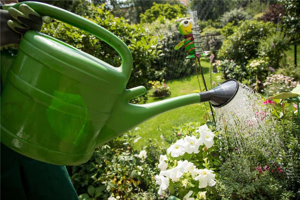 Feste Gießzeiten und eine kleine Runde durchs Grün – so bleibt man dran.Christin Klose/dpa Themendienst/dpa-tmn