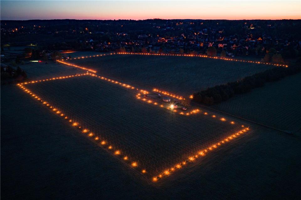 Feuer brennen zwischen den Rebstöcken in einem Weinberg.Robert Michael/dpa