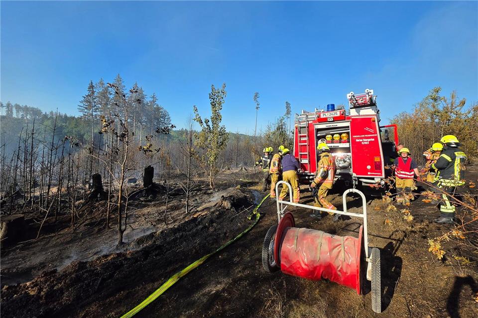 Feuerwehr kämpft gegen Waldbrand auf sieben Hektar im VogtlandMike Müller/dpa