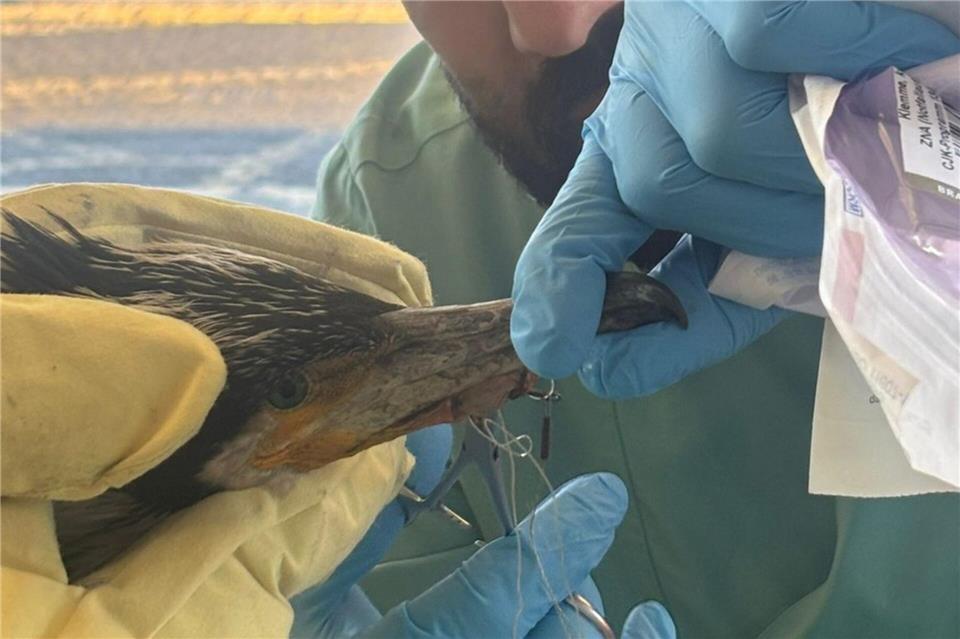 Feuerwehr und medizinisches Personal der Notaufnahme entfernten den Angelhaken und versorgten die Wunde. (Handout/Archivbild)-/Feuerwehr Bremen/dpa