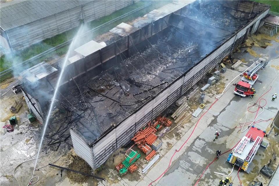 Etwa hundert Kälber sterben bei Brand auf Milchhof Feuerwehrgroßeinsatz auf einem Milchhof in Tucheim im Jerichower Land. Viele Kälber verendeten in den Flammen. Cevin Dettlaff/dpa