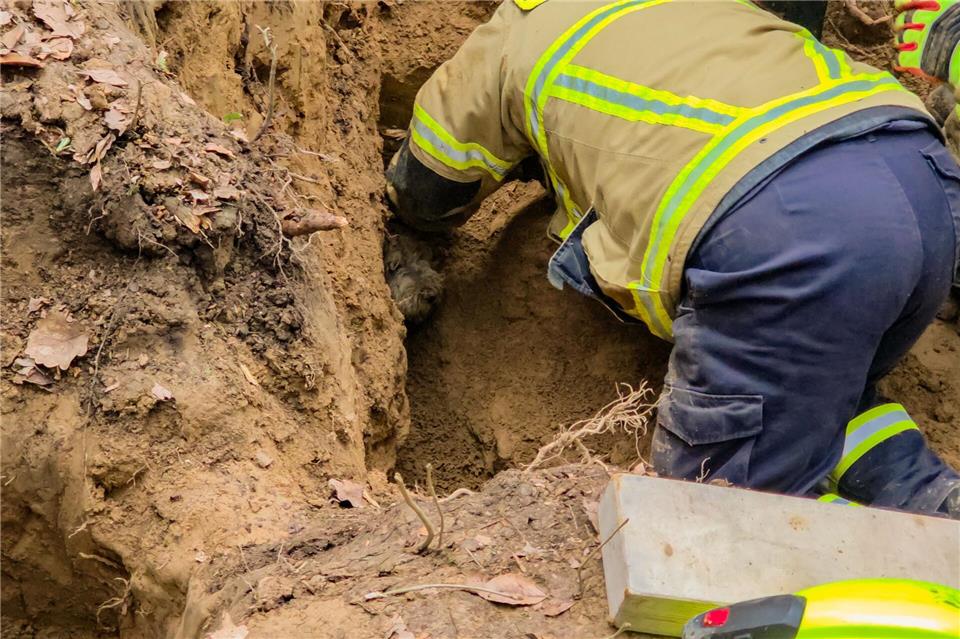Feuerwehrleute befreien Terrier Janosch aus einem Dachsbau.Freiweillige Feuerwehr Wachtberg/dpa