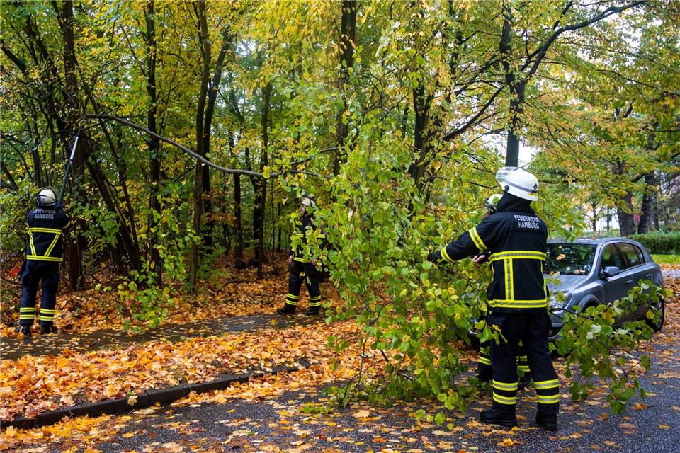 Feuerwehrleute beseitigen Schäden durch Sturm und Starkregen. (Archivbild)Daniel Bockwoldt/dpa