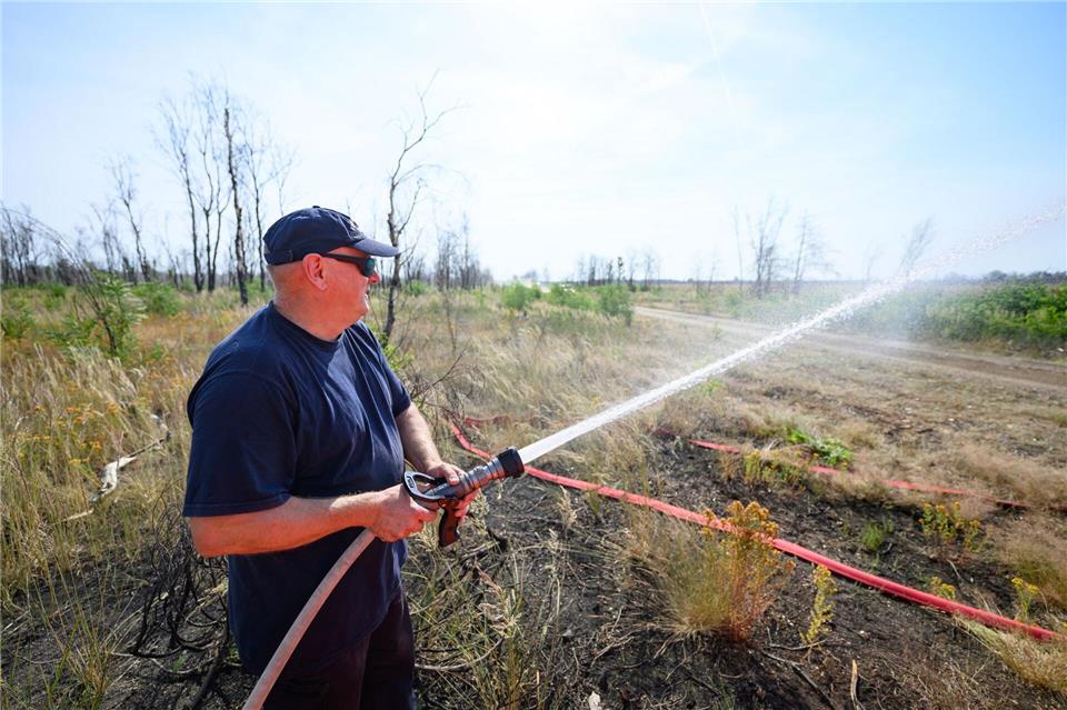 Feuerwehrleute kämpfen gegen einen Waldbrand, der durch die Trockenheit begünstigt wurde.Robert Michael/dpa