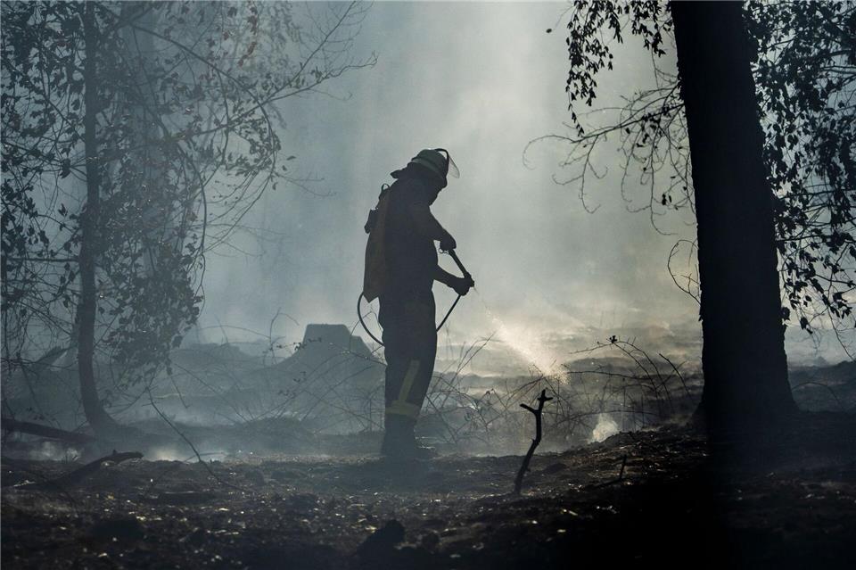 Feuerwehrleute kämpfen gegen einen  Waldbrand in Hessen knapp vor der bayerischen Grenze.  Andreas Arnold/dpa