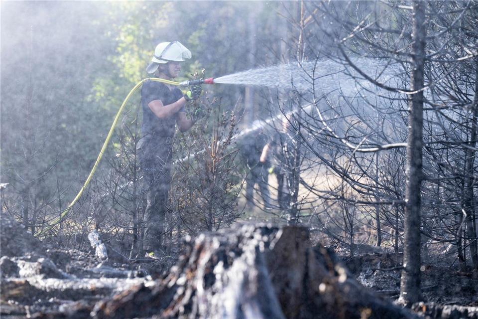 Feuerwehrleute müssen zwei Bränden im Wald nahe Glashütten im Hochtaunuskreis löschen. Boris Roessler/dpa