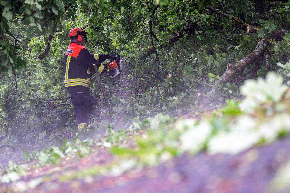 Feuerwehrleute räumten die Bäume schnell von den Autobahnen. (Symbolbild)Pia Bayer/dpa