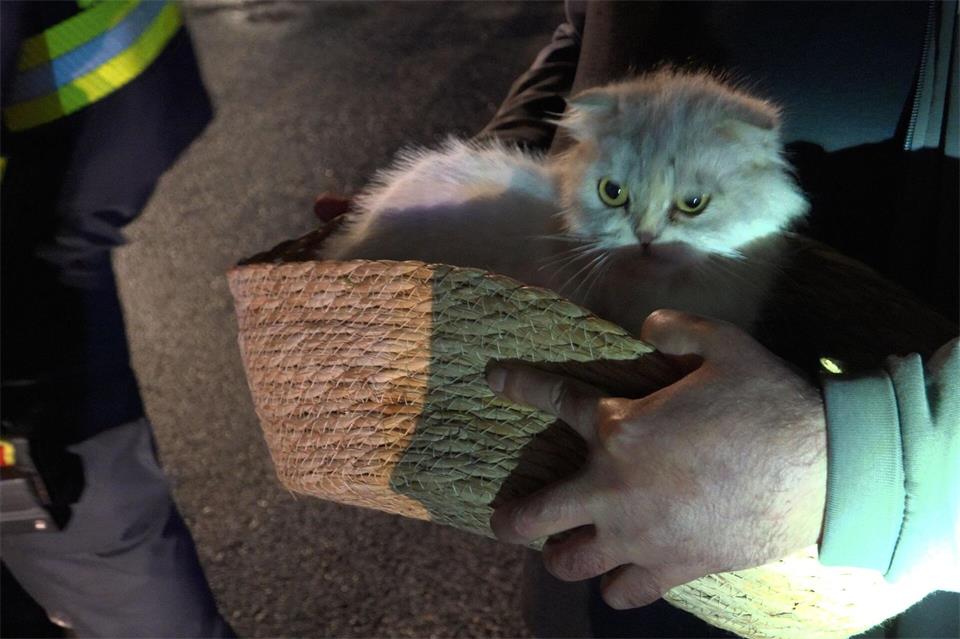 Feuerwehrleute retteten Kitty aus dem Gebäude.Thorsten Kremers/dpa