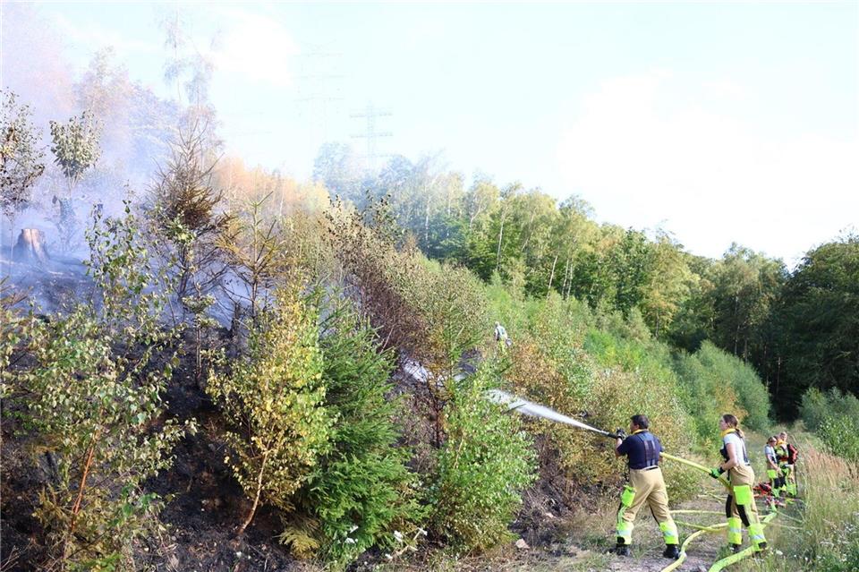 Feuerwehrleute versuchen einen Waldbrand nahe einer Hochspannungsleitung zu löschen.Alex Talash/dpa