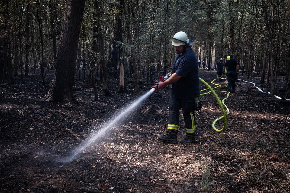 Feuerwehrmänner sind im Hürtgenwald im Einsatz. (Archivbild)Christian Knieps/dpa