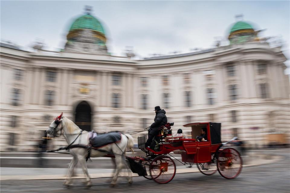 Fiaker sind eine beliebte Touristenattraktion in Wien (Symbolbild)Robert Michael/dpa-Zentralbild/dpa