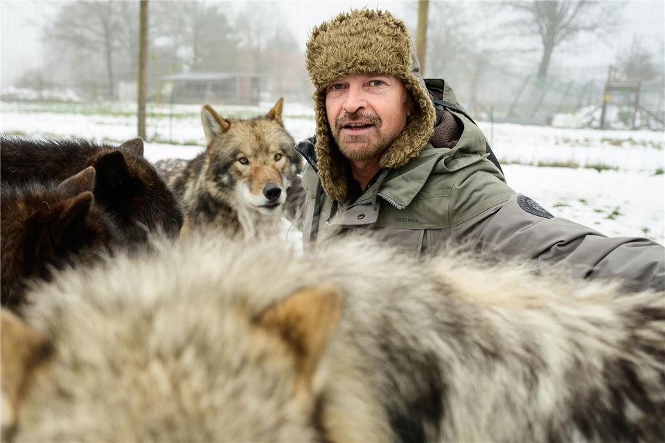 Filmwolf-Trainer Miguel de la Torre und seine Tiere haben im Film „Woodwalkers 2“ mitgewirkt.Philipp Schulze/dpa