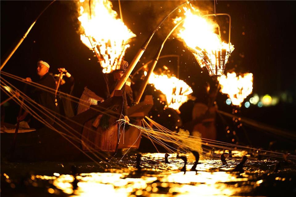 Fischer fangen mit Kormoranen Fische im Nagara-Fluss in der zentraljapanischen Stadt Gifu.-/kyodo/dpa
