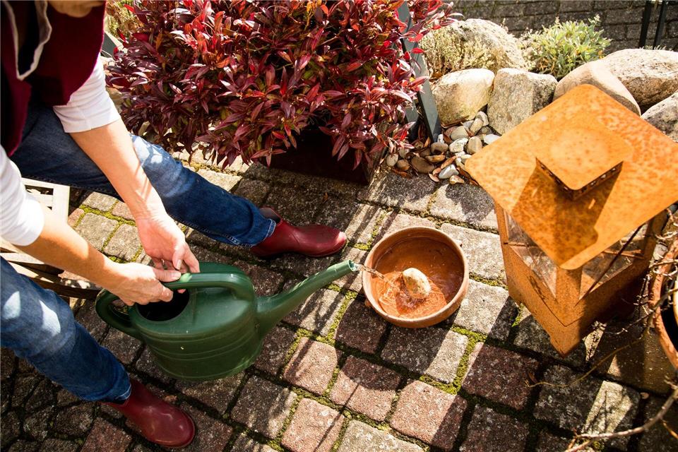 Flache Wasserschalen mit Ausstiegshilfe versorgen Insekten, Vögel und Co. an heißen Tagen.Christin Klose/dpa-tmn