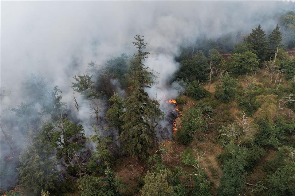 Flammen fressen sich durch ein Naturschutzgebiet. (Archivbild)Kevin Schößler/dpa