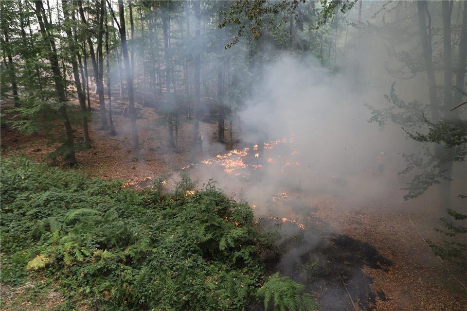 Flammen lodern am Boden beim Waldbrand im Hürtgenwald.Sascha Thelen/dpa