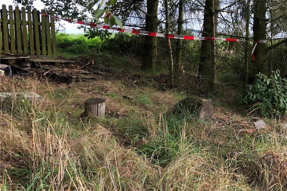 Flatterband nahe dem Fundort bei Bad Emstal.