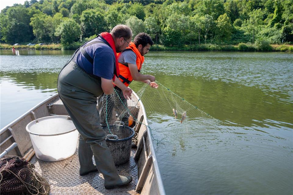 Es gibt sie immer seltener - Das machen Berufsfischer heute Flesch wollte schon als Jugendlicher Fischwirt werden (Archivbild)Harald Tittel/dpa
