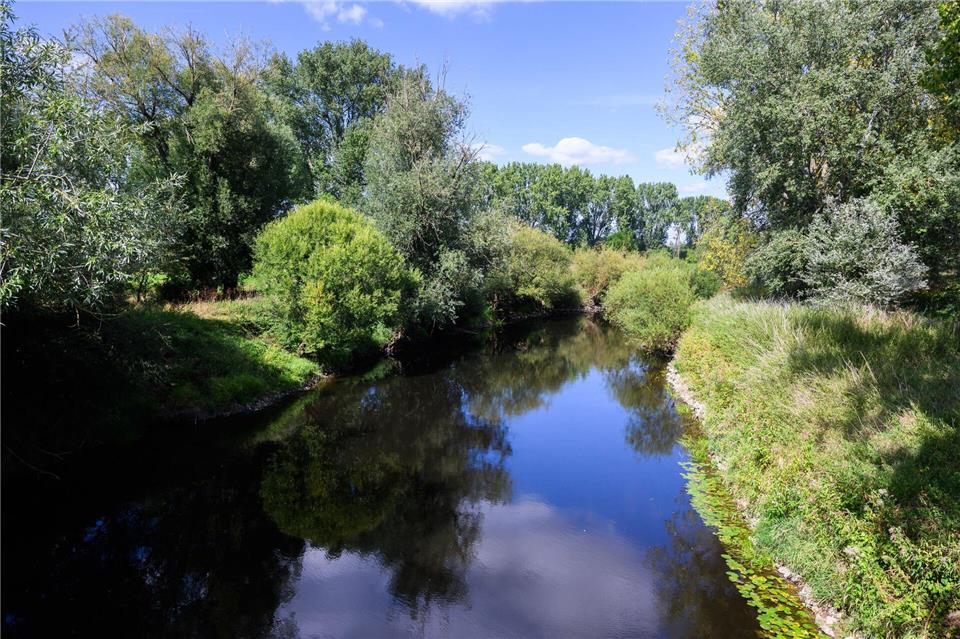 Flüsse wie die Leine leiden in Niedersachsen zunehmend unter niedrigen Wasserständen.Julian Stratenschulte/dpa