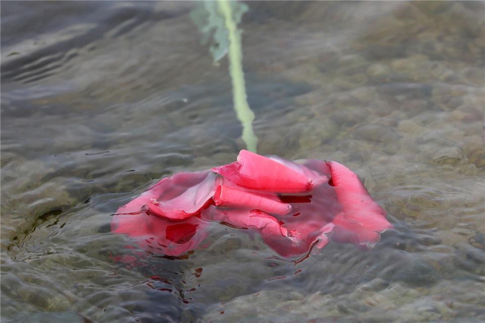 Flussbestattung ist künftig in Rheinland-Pfalz möglich. (Symbolbild)Bernd Wüstneck/dpa-Zentralbild/dpa