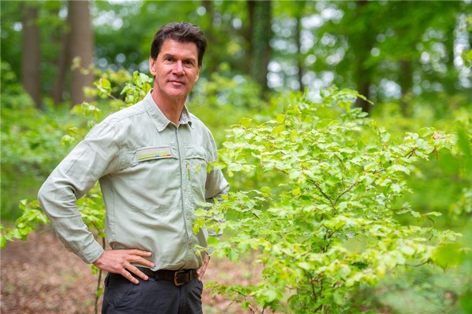 Förster Holger Eggert kümmert sich auch um den Wald des Tiergartens in Raesfeld.