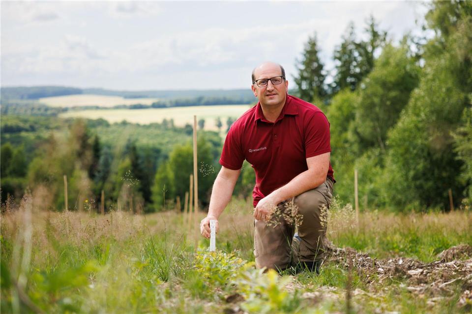 Förster Sebastian Gräf setzt auf einen Mix an Maßnahmen, damit auf freien Flächen wieder Wald wächst. Lando Hass/dpa