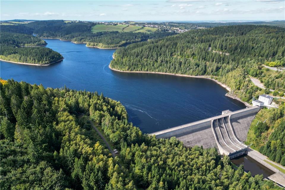 Forstminister: Gesunde Wälder sichern Jobs und Klimaschutz. (Archivbild)Hendrik Schmidt/dpa